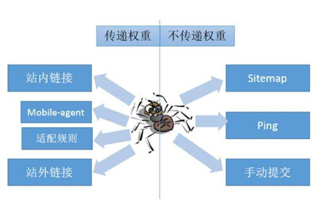 長寧網站優(yōu)化：如何讓網站吸引蜘蛛收錄更多的頁面？