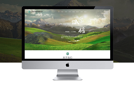 如何制作網(wǎng)站才能增強網(wǎng)站建設(shè)效果？