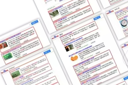 關(guān)鍵詞快速排名每天浮動(dòng)較大怎么辦？