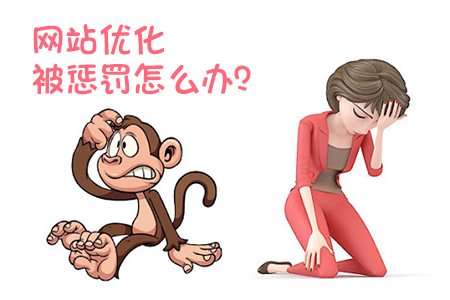 網(wǎng)站優(yōu)化如何辨別被搜索引擎懲罰？